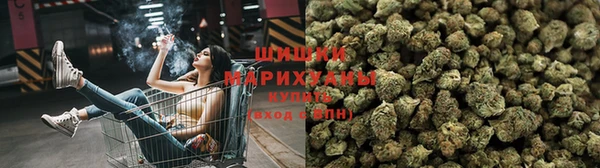 ешки Верея